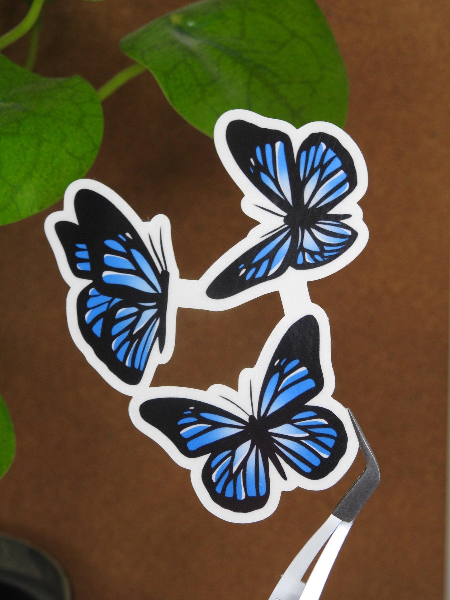 Blue Butterfly