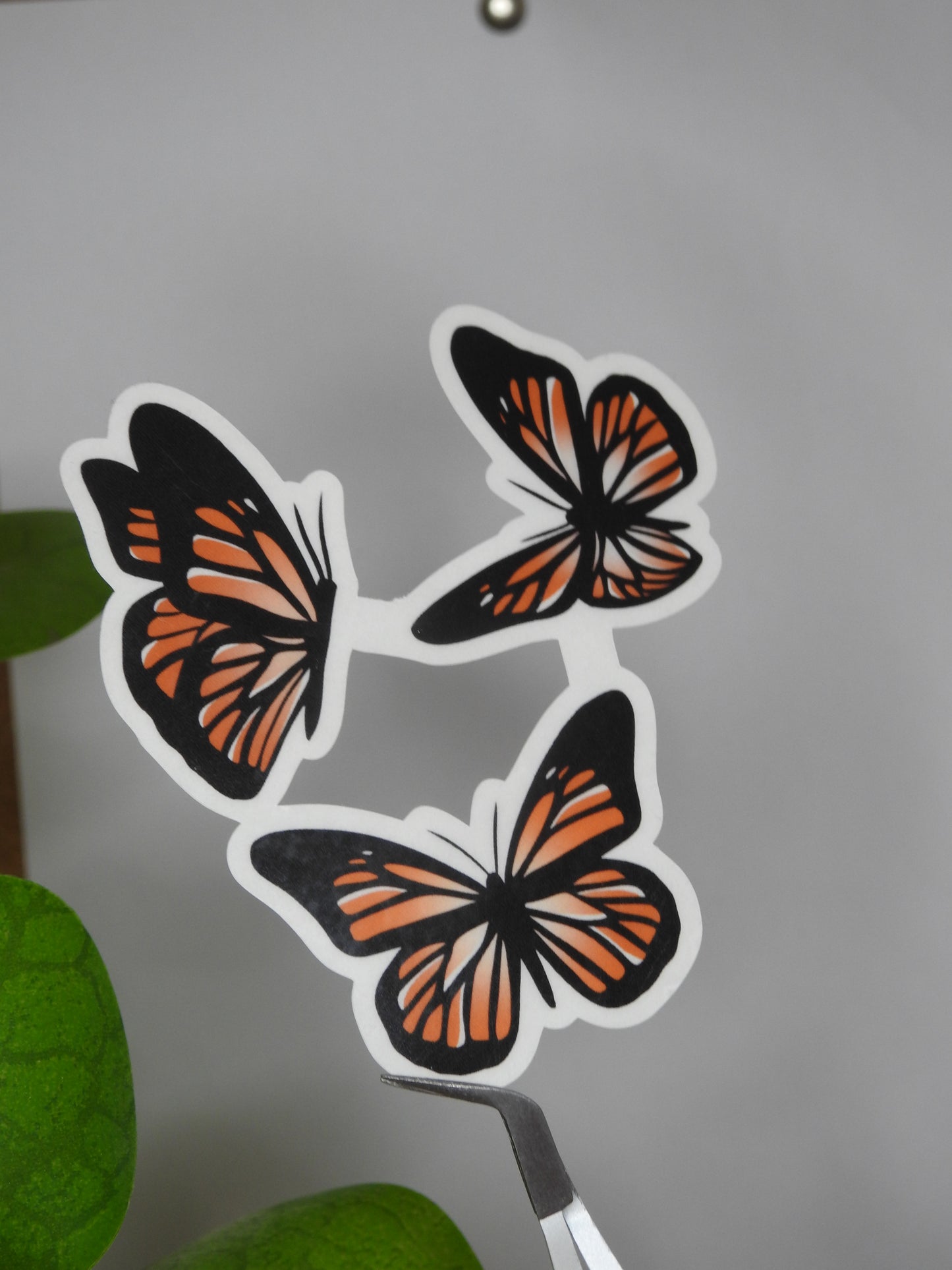 Orange Butterfly