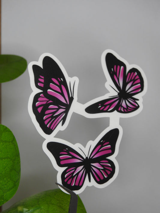 Pink Butterfly